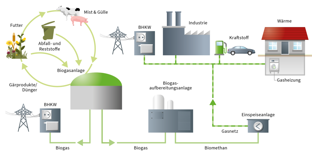 Schema: So wird Biogas erzeugt